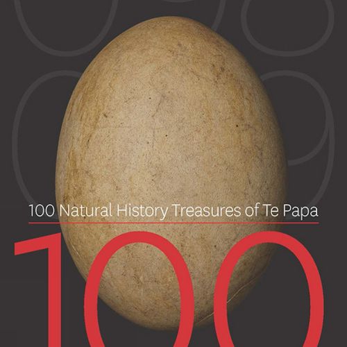 Cover image for 100 Natural History Treasures of Te Papa: 100 Amazing Objects from the Te Papa Natural History Collection