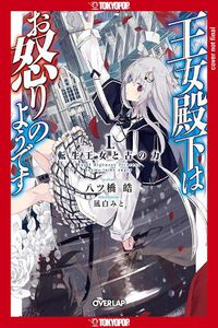 Cover image for Her Royal Highness Seems to Be Angry, Volume 1 (Light Novel)