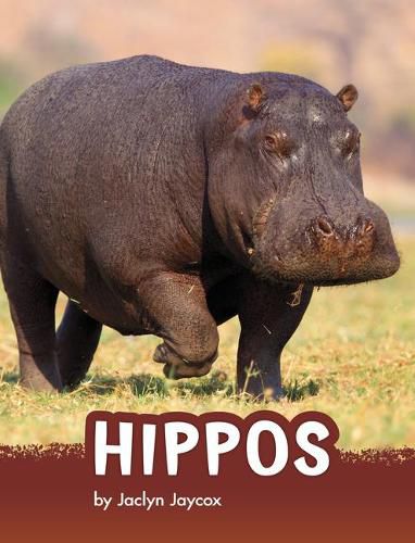 Cover image for Hippos