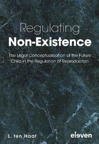 Cover image for Regulating Non-Existence
