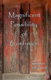 Cover image for Magnificent Possibility of Confusion