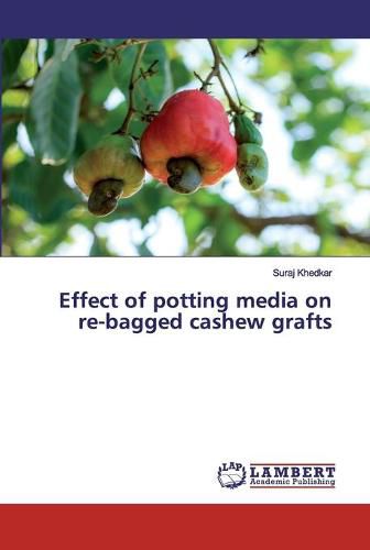 Cover image for Effect of potting media on re-bagged cashew grafts