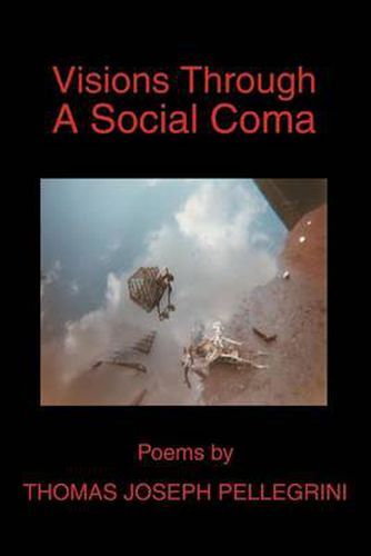 Cover image for Visions Through a Social Coma