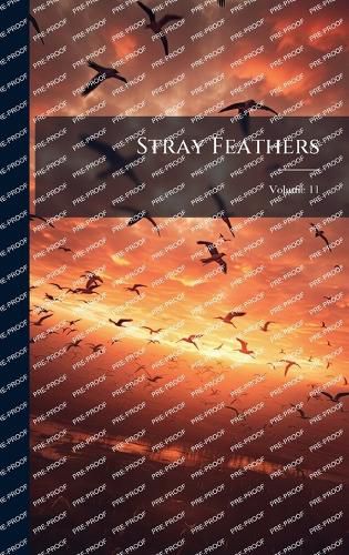 Cover image for Stray Feathers