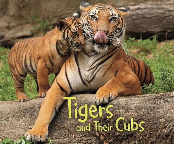 Cover image for Tigers and Their Cubs