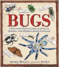 Cover image for Bugs: A Stunning Pop-up Look at Insects, Spiders, and Other Creepy-Crawlies