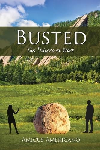 Cover image for Busted (Tax Dollars at Work)