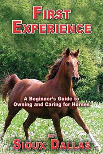 Cover image for First Experience: A Beginner's Guide to Owning and Caring for Horses