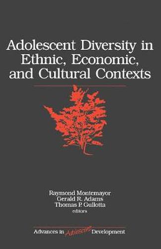 Adolescent Diversity in Ethnic, Economic and Cultural Contexts