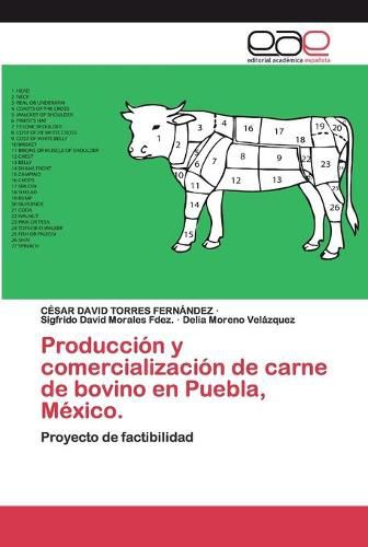 Cover image for Produccion y comercializacion de carne de bovino en Puebla, Mexico.