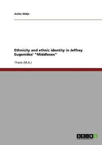 Cover image for Ethnicity and ethnic identity in Jeffrey Eugenides' Middlesex