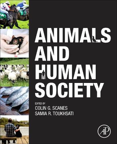 Cover image for Animals and Human Society