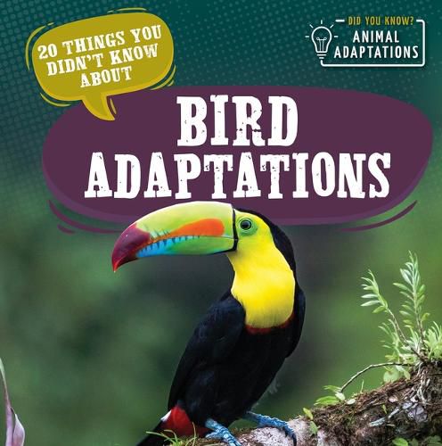 Cover image for 20 Things You Didn't Know about Bird Adaptations