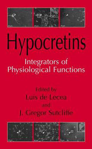 Cover image for Hypocretins: Integrators of Physiological Signals