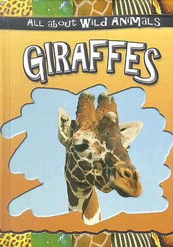 Giraffes