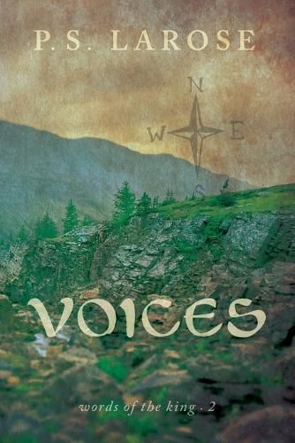 Cover image for Voices