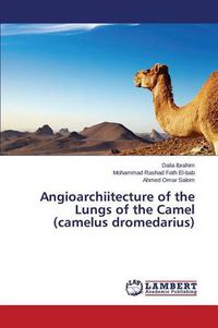 Cover image for Angioarchiitecture of the Lungs of the Camel (Camelus Dromedarius)