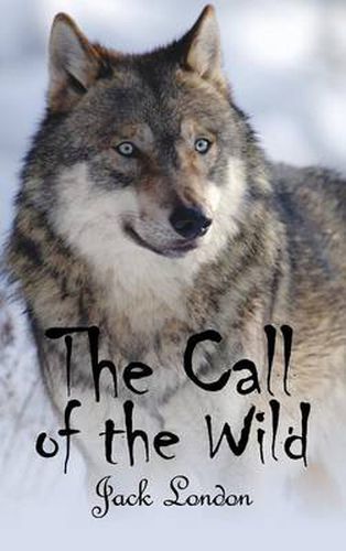 Cover image for The Call of the Wild