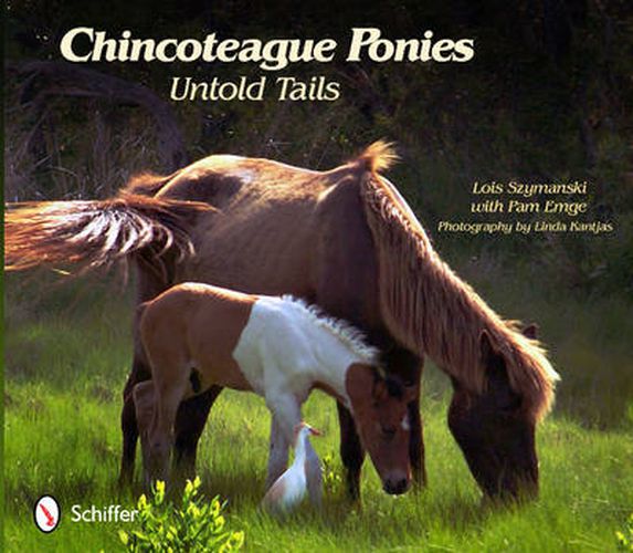 Cover image for Chincoteague Ponies: Untold Tails