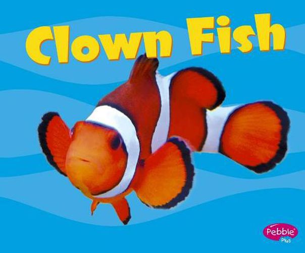 Cover image for Clown Fish (Under the Sea)