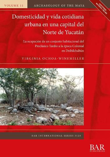 Cover image for Domesticidad y vida cotidiana urbana en una capital del Norte de Yucatan