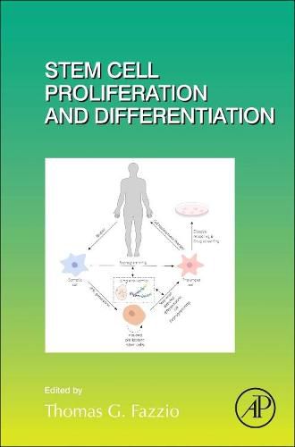 Cover image for Stem Cell Proliferation and Differentiation