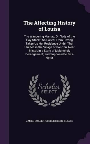 Cover image for The Affecting History of Louisa