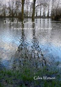 Cover image for Dafydd Ap Gwilym: Paraphrases and Palimpsests