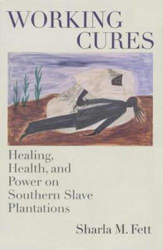 Cover image for Working Cures: Healing, Health, and Power on Southern Slave Plantations