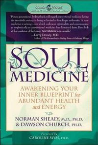 Cover image for Soul Medicine: Awakening Your Inner Blueprint for Abundant Health and Energy