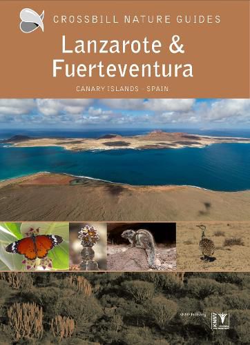 Cover image for Lanzarote and Fuerteventura