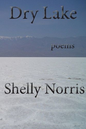 Cover image for Dry Lake