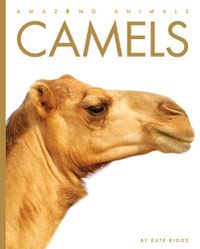 Cover image for Camels