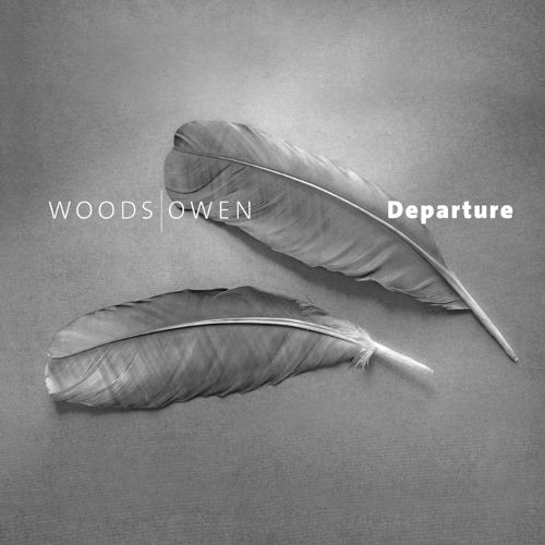 Cover image for Departure