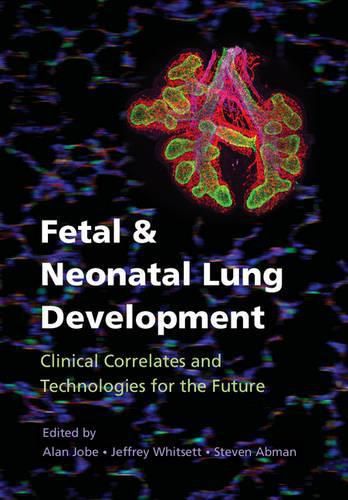 Cover image for Fetal and Neonatal Lung Development: Clinical Correlates and Technologies for the Future