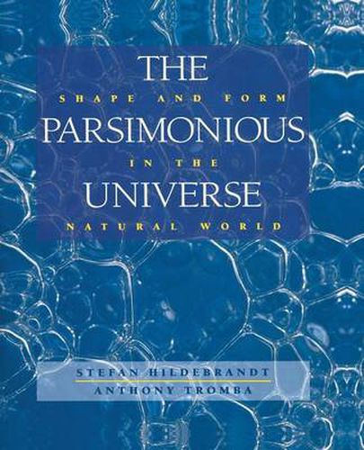 The Parsimonious Universe: Shape and Form in the Natural World