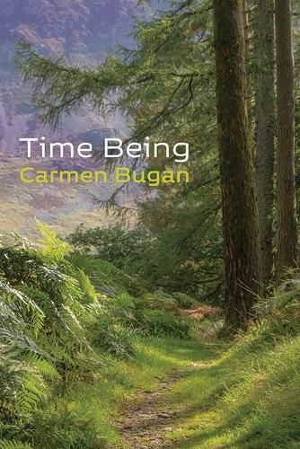 Cover image for Time Being
