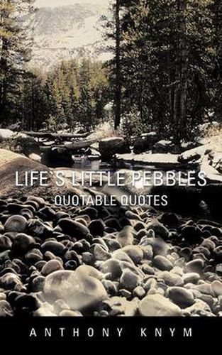 Cover image for Lifes Little Pebbles