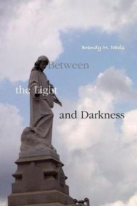 Cover image for Between the Light and Darkness