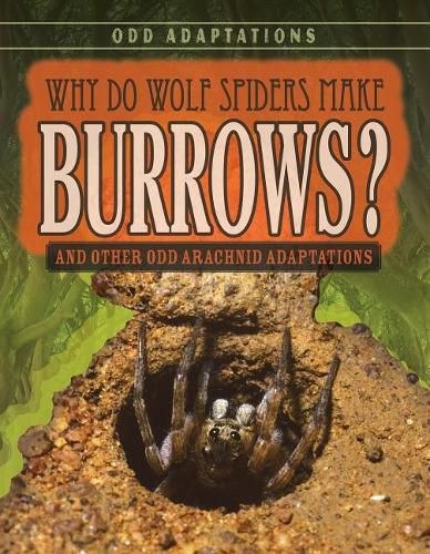 Cover image for Why Do Wolf Spiders Make Burrows?: And Other Odd Arachnid Adaptations