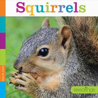 Cover image for Squirrels