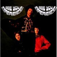 Cover image for Are You Experienced