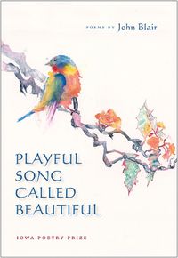 Cover image for Playful Song Called Beautiful