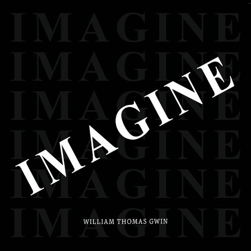 Cover image for Imagine