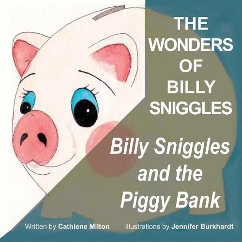 Cover image for The Wonders of Billy Sniggles