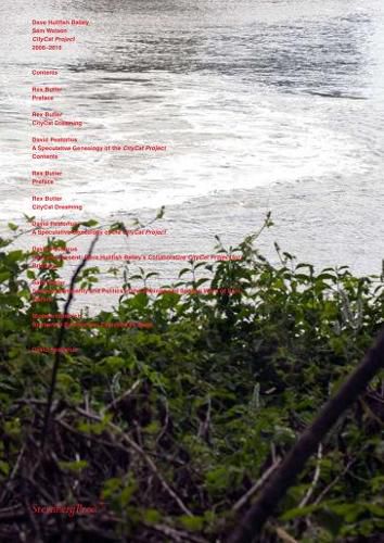Cover image for Dave Hullfish Bailey + Sam Watson - CityCat Project 2006-2016