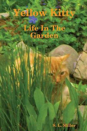 Cover image for Yellow Kitty, Life In The Garden