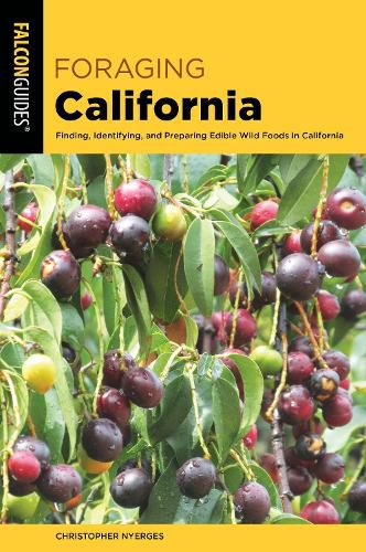 Cover image for Foraging California: Finding, Identifying, And Preparing Edible Wild Foods In California