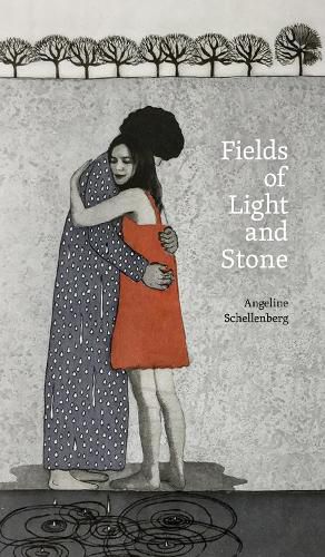 Cover image for Fields of Light and Stone