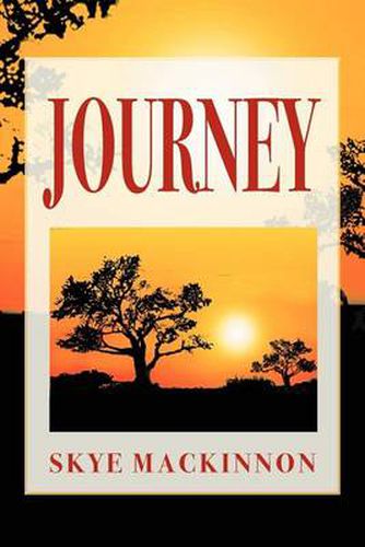 Cover image for Journey